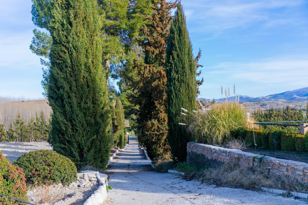 Cortijo Los Nogales Holiday home
