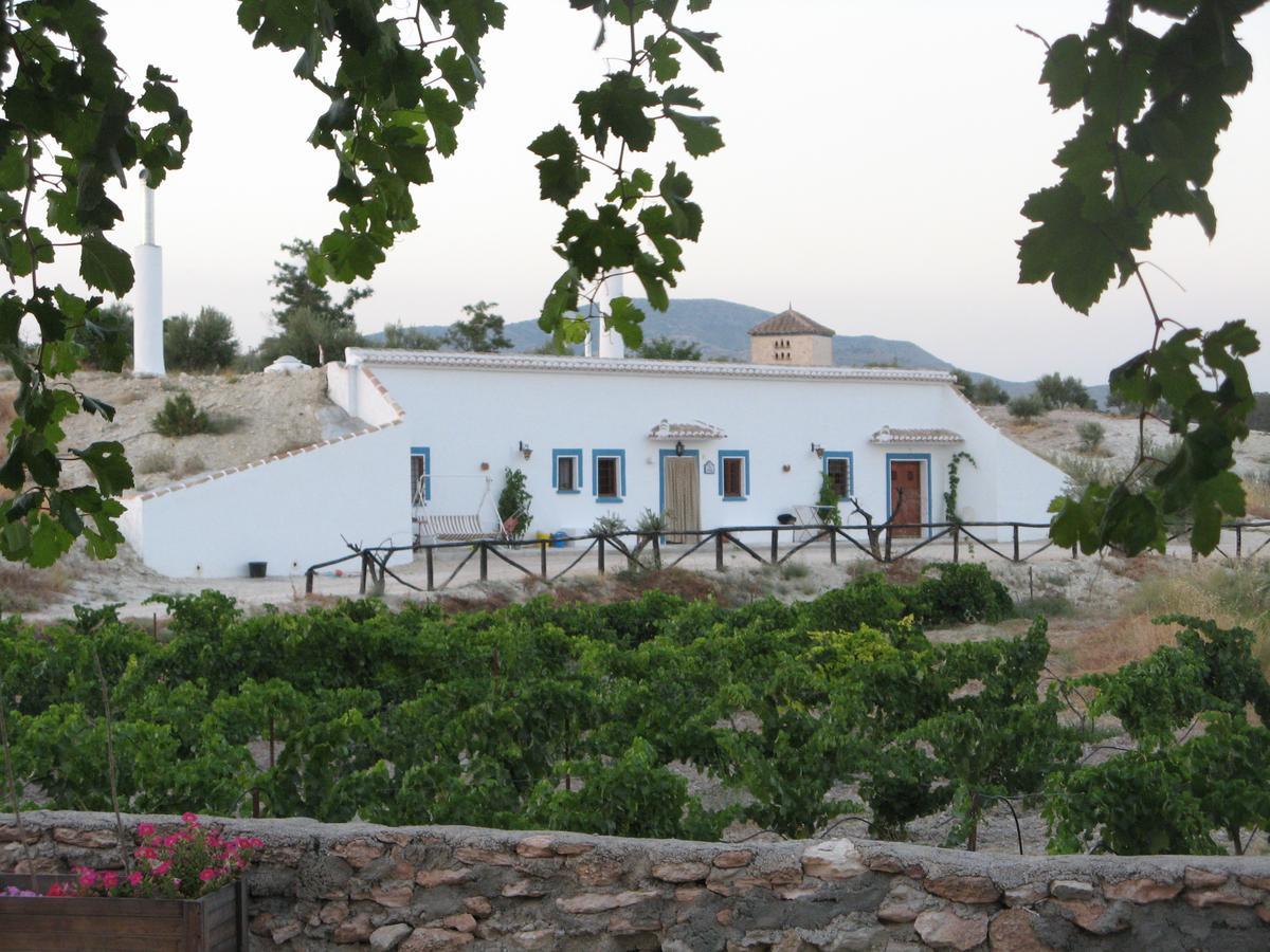Cortijo Los Nogales Holiday home *
